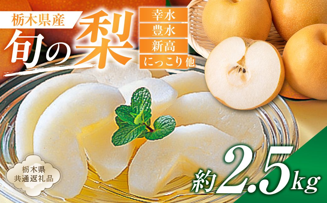 ns110-002-1 栃木県産 旬の梨 約2.5kg[栃木県共通返礼品]