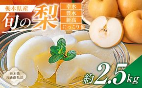 ns110-002-1 栃木県産　旬の梨　約2.5kg【栃木県共通返礼品】