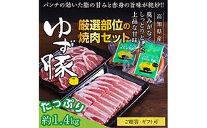 【CF-R7hbk】GRS006　【高知のブランド豚/ゆず豚】厳選部位の焼肉セット（約1.4kg）- 焼肉用 肩ロース500g バラ500g ソーセージ5本入り×2P BBQ やきにく 焼き肉 ソーセージ 豚肉 国産 詰め合わせ セット ギフト・熨斗対応可 贈答