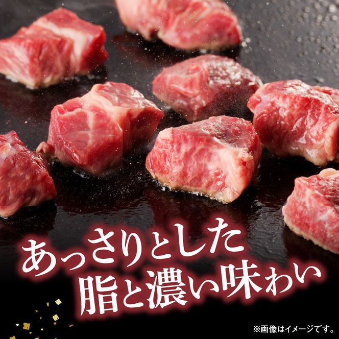 宮崎牛A5ランク 赤身サイコロステーキ600g N0140-YA961