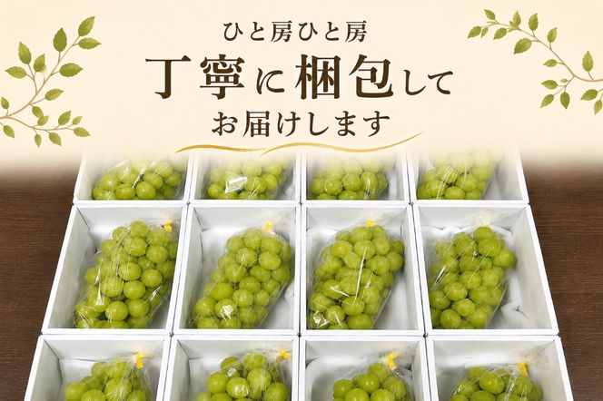 【2026年発送★先行予約】フルーツ王国笛吹市の大粒シャインマスカット3~4房2kg  137-003-26y