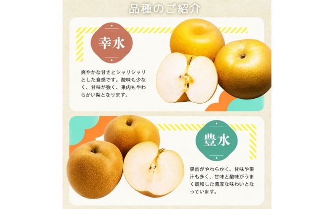 紀州和歌山産の梨 2kg 化粧箱入 ※2026年8月中旬頃〜2026年9月上旬頃に順次発送 ※日付指定不可 梨 なし ナシ 果物 くだもの フルーツ 甘い【uot788】