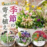 【10月頃から発送・お手軽ガーデニング】季節の寄せ植え（風の丘ガーデン） ギフト寄せ植え 贈答用寄せ植え 母の日 誕生日 記念