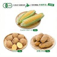 小笠原農園の有機野菜 定期便 夏「とうもろこし」ミルキースイーツ24本・秋「じゃがいも2種」とうや12kg・北海こがね12kg《2027年8月出荷開始》北海道 十勝 幕別【 スイートコーン 芋 セット 野菜 】