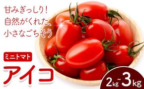 ミニトマト アイコ 約2kg 約3kg ますだふぁーむ《7月上旬-11月末頃出荷》熊本県 南阿蘇村 アイコトマト 野菜 旬 夏野菜 トマト---sms_msf_af711_r7_11000_2kg---