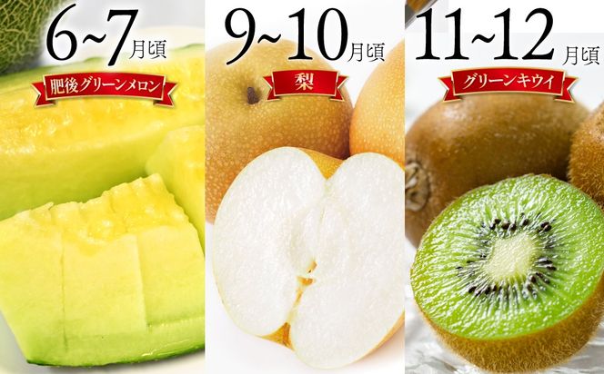 y茧쓇szy6 AR[Xzt[c {̃t[cZbg/  k XCJ   LEC / 쓇s / 茧_Yiʍ [SCB065]