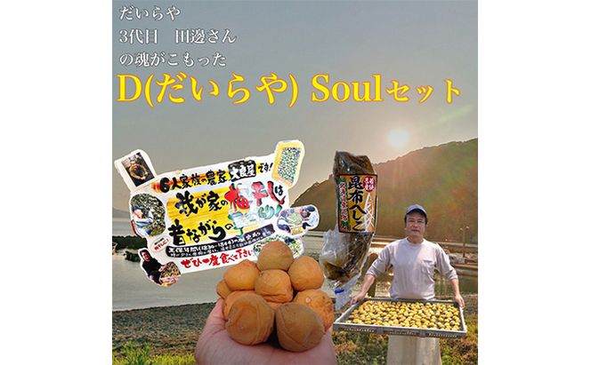 三代目 D Soul セット　目白大学の学生が考案、その9 梅干し 魚貝類 加工食品 