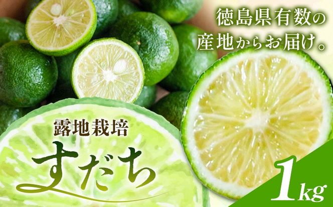 生産量日本一徳島県産 すだち 露地栽培  1kg《8月下旬-9月中旬頃に出荷予定(土日祝除く)》徳島 すだち ぶり スダチ 露地 魚 豆腐 冷奴 焼き魚 天ぷら 刺身 徳島県 佐那河内 一万円以下---sanagouchi_hss_4_1kg---