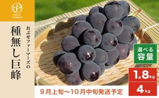 種無し巨峰 約1.8kg 3〜5房 約4kg 8〜10房 選べる内容量 ［おぶせファーマーズ］ 果物 フルーツ ぶどう ブドウ 葡萄 冷蔵便 クール便 長野県産 信州産 令和7年産 【2025年9月上旬〜10月中旬発送】