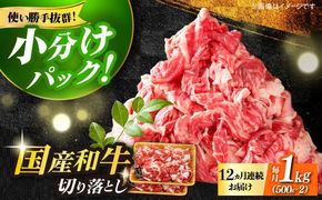 【全12回定期便】【たっぷり大容量！】博多和牛 切り落とし 1000g(500ｇ×2Ｐ）《築上町》【株式会社MEAT PLUS】[ABBP029]