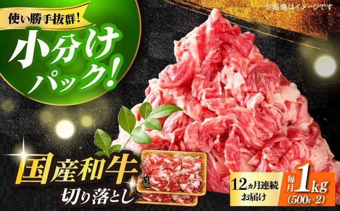 yz㒬zyS12ցzyՂeʁIza ؂藎Ƃ 1000g(500×2ojsz㒬tyMEAT PLUSz[ABBP029]
