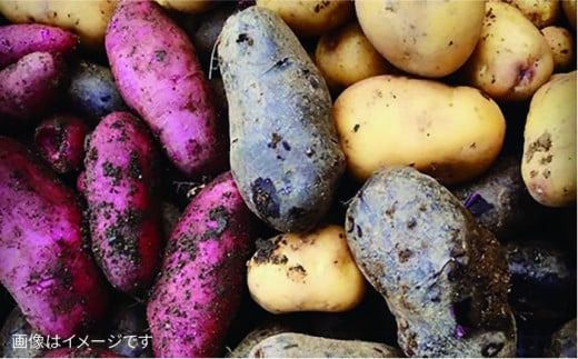 【全12回定期便】【福岡県糸島産】朝採れ 野菜 セット (8品前後) 《糸島》【オーガニックナガミツファーム】	[AGE012]