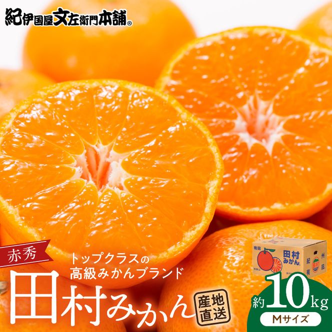 V7443_【2026年先行予約】田村みかん／特選ギフト品10kg【Mサイズ】赤秀