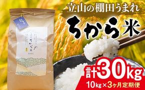 ＜定期便＞立山のちから米 令和7年産 コシヒカリ 各10kg ＜全3回＞ 計30kg 3ヶ月連続 10kg 定期便 定期配送 ちから米 こしひかり 銘柄米 ブランド米 国産 米 お米 日本米 F6T-915