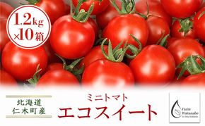 [先行受付/2026年産][栽培期間中 農薬・化学肥料不使用] 北海道 仁木町産 ミニトマト エコスイート 1.2kg×10箱 サイズ混載 トマト野菜 やさい  [Farm Watanabe]