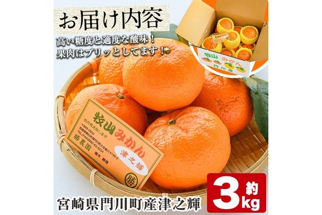＜先行予約受付中！2026年1月中旬～4月末の間に発送予定＞宮崎県門川町産津之輝(約3kg) みかん ミカン 蜜柑 柑橘 果物 くだもの フルーツ 冷蔵 宮崎県 門川町 【勝農園】【AE-14】