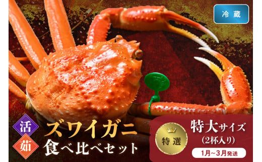 【蟹の匠 魚政】　【京丹後産 特撰】ズワイガニ 食べ比べセット〈活×茹〉特大サイズ2杯入り(1月～3月発送）