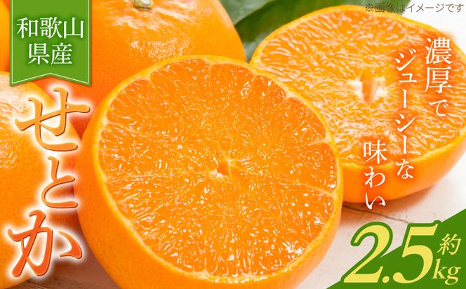 G7349_【2027年先行予約】とろける食感！ジューシー柑橘 せとか 2.5kg