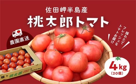 【産地直送】愛媛県伊方町産 桃太郎トマト（4kg、20～24玉）◇