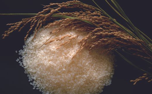 《 令和7年産米 》花巻市産 一等級 ひとめぼれ玄米30kg 【998】