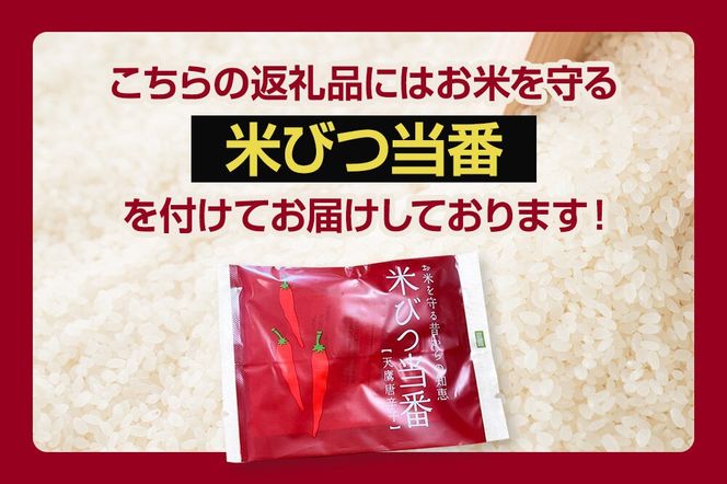 《令和8年産新米受付》 あきたこまち 精米 10kg（5kg×2袋） 吉元耕業 秋田県 男鹿市 [新米 あきたこまち ブランド米 お米 白米 精米 米どころ 秋田 男鹿市 秋田県産 あきたこまち ブランド米 お米 白米 精米 米どころ 秋田 男鹿市 秋田県産]|23_ymk-010201s