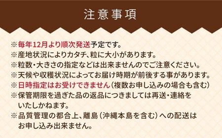 【先行受付】【全2回定期便】糸島産【冬】 あまおう 2パック 毎月計500g【2026年12月上旬以降順次発送】 糸島市 / 南国フルーツ株式会社 [AIK025]