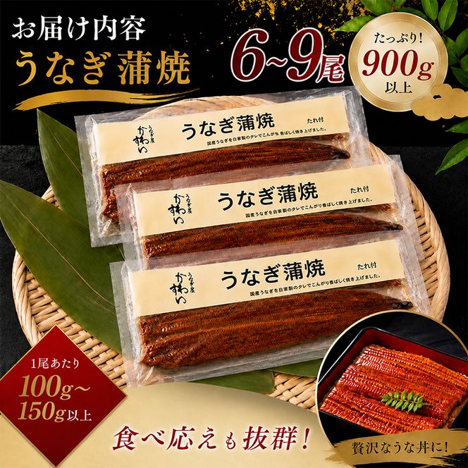 国産うなぎ  蒲焼き 6～9尾セット(合計900g) タレ付き 国産 うなぎ ウナギ 鰻 蒲焼 かば焼き セット 惣菜 冷凍