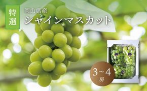 真庭市産 シャインマスカット 特選 3～4房 / (2026年9月中旬以降発送予定) ぶどう 岡山 真庭 大粒 葡萄 シャインマスカット 果物 フルーツ ブドウ 人気 数量限定 皮ごと マスカット 産地直送 新鮮 岡山名産 定番 ギフト 贈答用 【配送不可地域：北海道／沖縄県／離島】 【jujy014-02】