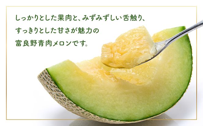 【2026年夏発送】メロン 北海道 富良野メロン 青肉1玉 約1.6kgサイズ以上 北海道 ふらの めろん 果物 フルーツ 甘い ジューシー