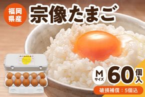JAむなかたよりお届け！宗像たまご60個（55個＋補償5個）【JAほたるの里】_HA0916