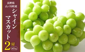 【2026年10月発送】シャインマスカット2房 約1kg ぶどう ブドウ 果物 くだもの フルーツ 信州 長野