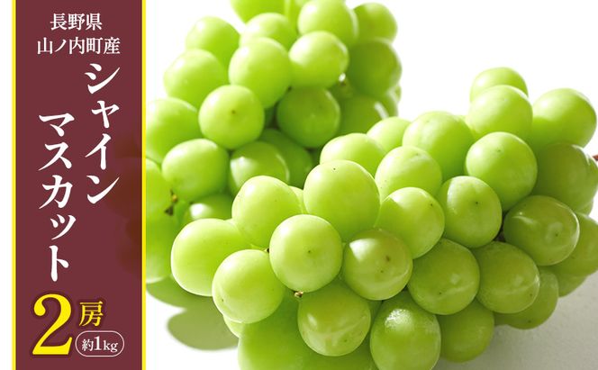 【2026年10月発送】シャインマスカット2房 約1kg ぶどう ブドウ 果物 くだもの フルーツ 信州 長野