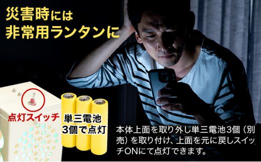 光を運ぶ★LED鐵ランタン「ルーク」D-603