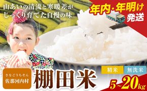 《年内出荷対応》清流と寒暖差が生む村自慢の棚田米 精米 無洗米 5kg 10kg 15kg 20kg《出荷時期をお選びください》徳島県 佐那河内村 お米 米 白米 送料無料---sanagouchi_lcl_38_5kg---