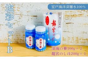 塩彩セットB 計400g 小分け 調味料 塩 塩分 熱中症対策 海洋深層水使用 天日塩 国産 結晶 うまみ バーベキュー BBQ キャンプ グランピング おにぎり 天ぷら フライドポテト