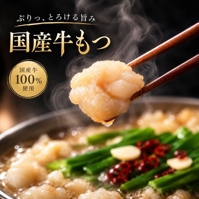 博多 もつ鍋 もつ2倍 増量 味噌味 3人前 鍋セット もつ 国産 牛もつ 味噌 鍋 福岡 大刀洗町