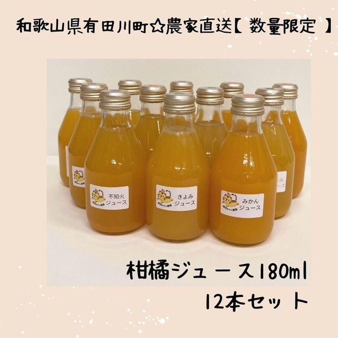 数量限定 有田みかんの産地から届く 果汁100％！ 搾りたての柑橘ジュース 180ml×12本   DB004