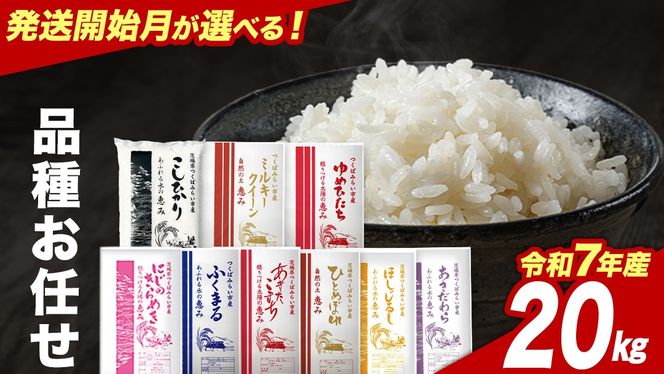 品種おまかせ 20kg 令和7年産米 茨城県つくばみらい市産 精米 こしひかり コシヒカリ あきたこまち ひとめぼれ ふくまる ゆめひたち ミルキークイーン にじのきらめき ほしじるし あきだわら 米 コメ こめ 単一米 限定 茨城県産 国産 美味しい お米 おこめ おコメ
