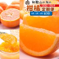 【定期便】家庭用 柑橘定期便 S 3回（4～6月）※北海道・沖縄・離島への配送不可※4月・5月・6月に発送