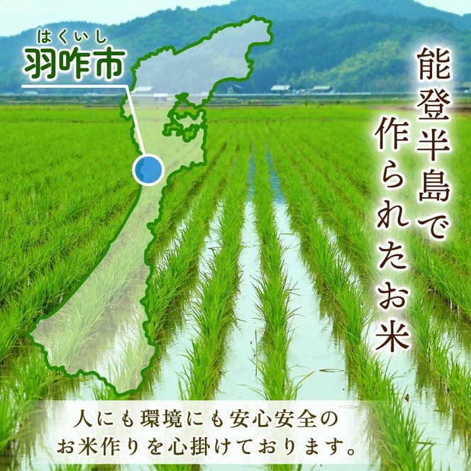 令和8年産 先行予約 新米予約 石川県産 コシヒカリ トキ米 精米 定期便 5kg × 6回 計 30kg エコ栽培米