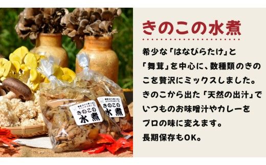 きのこ の 加工品 詰め合わせ 5点セット （茨城県共通返礼品：城里町） きのこミックス 野菜 水煮 国産 きのこ ご飯の素 国産 うどん そばの具 乾燥 しいたけ 乾燥 きくらげ バラエティ セット 乾燥きのこ  [DY004us]
