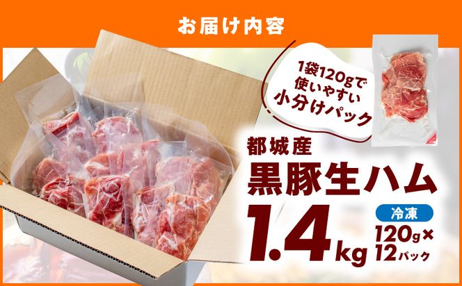 黒豚生ハム1.4kg_MJ-2519_(都城市) 宮崎県産 黒豚 豚肉 豚生ハム 120g×12パック 生ハム 小分け パック 都城産 黒豚 豚肉 加工品 食品 つまみ 酒のお供 酒の肴