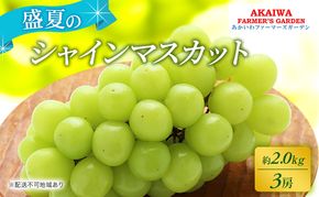 ぶどう 2026年 先行予約 シャインマスカット 約2.0kg 3房 盛夏 葡萄 岡山県 赤磐市産 フルーツ 果物 あかいわファーマーズガーデン 果物類