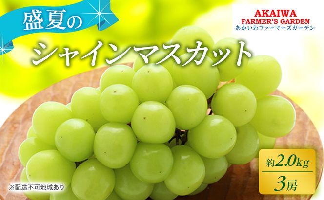 ぶどう 2026年 先行予約 シャインマスカット 約2.0kg 3房 盛夏 葡萄 岡山県 赤磐市産 フルーツ 果物 あかいわファーマーズガーデン 果物類