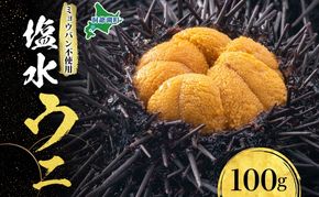 ミョウバン不使用 塩水 ウニ100g 1パック 7月下旬頃までお届け [水揚げ後 順次出荷] キタムラサキウニ うに ウニ 雲丹 ムラサキウニ 魚貝 魚介 海鮮 海産 小川商店 送料無料 北海道 洞爺湖