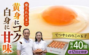 【全12回定期便】てつやとのりこの玉子 【 40個 】 糸島市 / 板垣ファーム 卵 たまご 鶏卵[AWD022]