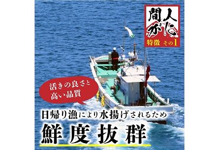 （訳あり）茹で間人がに 2匹 Bセット　1/10～1/21発送予定　HI00002_03