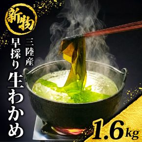 【先行予約】 早採り生わかめ 新物 1.6kg(200g×8袋) 期間限定 ★2026年1月～発送予定★ わかめ 早採りわかめ 生わかめ 三陸 漁師わかめ 小分け 若芽 湯通し 海藻 海産物 味噌汁 ごはん 夕飯 おかず 小分け 個包装 しゃぶしゃぶ サラダ お刺身 刺し身 刺身 綾里 岩手県 国産 大船渡