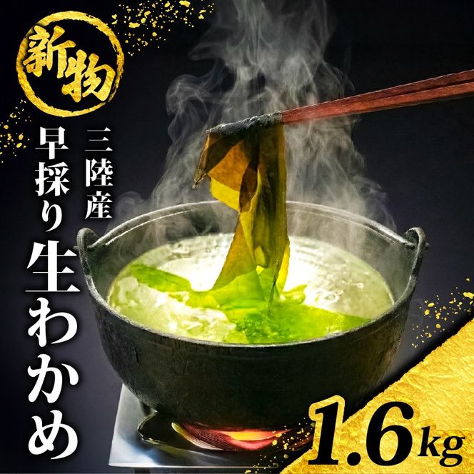【先行予約】 早採り生わかめ 新物 1.6kg(200g×8袋) 期間限定 ★2026年1月～発送予定★ わかめ 早採りわかめ 生わかめ 三陸 漁師わかめ 小分け 若芽 湯通し 海藻 海産物 味噌汁 ごはん 夕飯 おかず 小分け 個包装 しゃぶしゃぶ サラダ お刺身 刺し身 刺身 綾里 岩手県 国産 大船渡