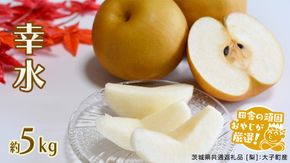 梨 幸水 約 5kg 【2026年8月より発送開始】（茨城県共通返礼品 [梨]：大子町産）